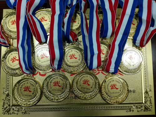 东莞南城归真太极拳社武馆学员荣获散打比赛等六枚金牌
